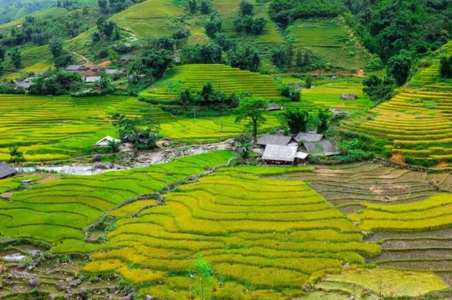 Sapa Beautiful Rice Field, Village - Easy Walking Kid,Senior - Accessibility for All