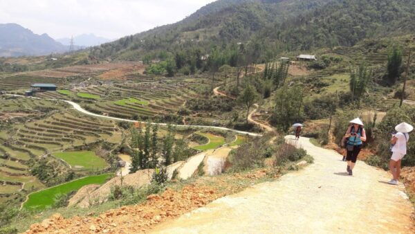 Sapa Beautiful Rice Field, Village - Easy Walking Kid,Senior - Customer Feedback