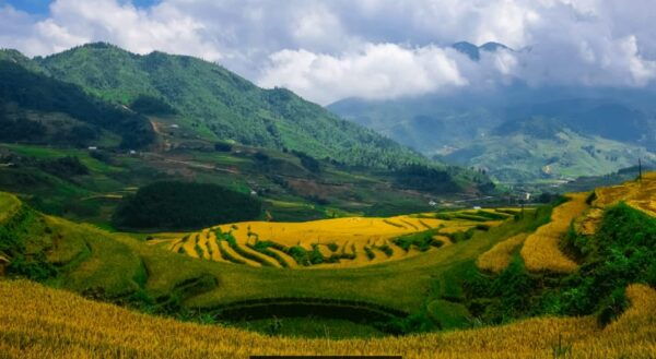Sapa Beautiful Rice Field, Village - Easy Walking Kid,Senior - Booking Information