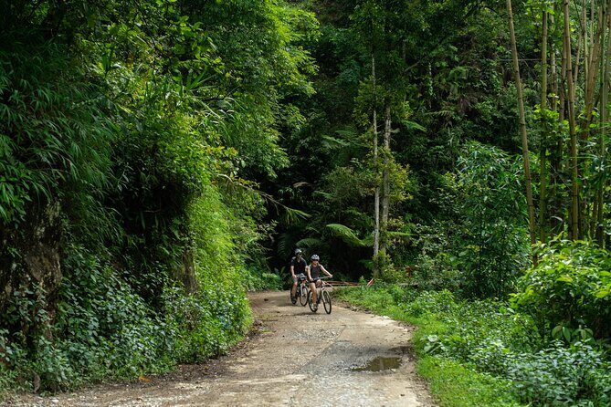 Sapa Bicycle Tour - Visit Muong Hoa Valley And Batik Workshop - FAQs