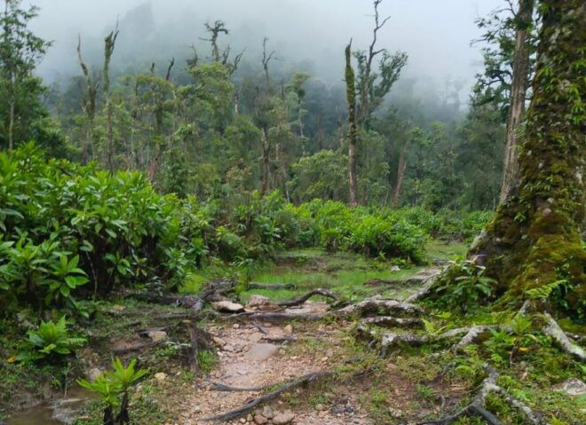 SAPA : Climb up to Fansipan Mountain With LOCAL GUIDE - Participant Experiences