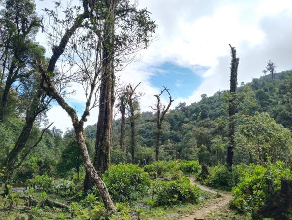 SAPA : Climb up to Fansipan Mountain With LOCAL GUIDE - Local Culture Insights