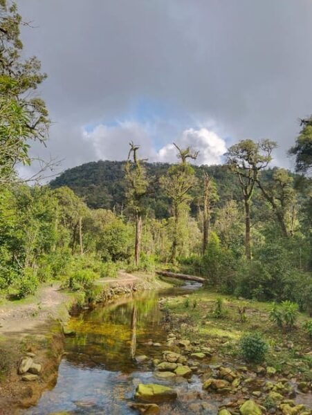 SAPA : Climb up to Fansipan Mountain With LOCAL GUIDE - The Sum Up