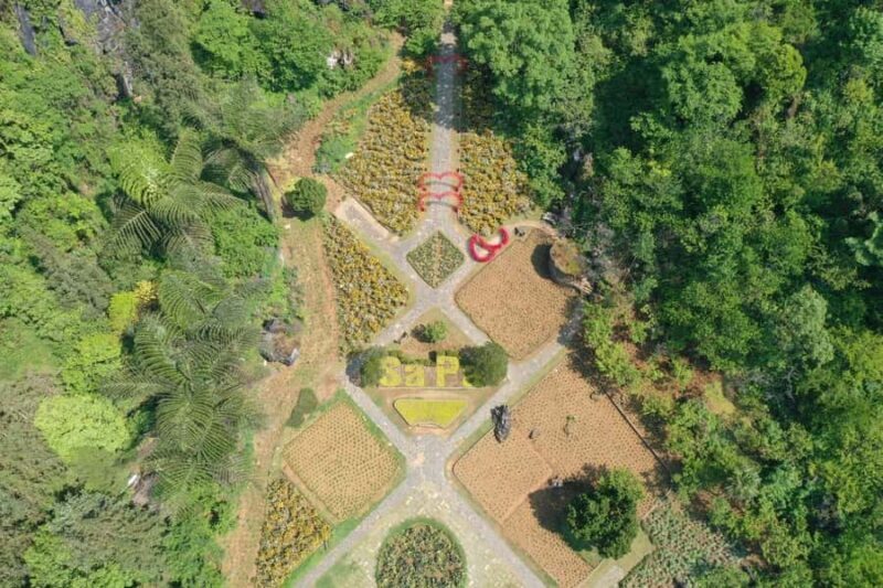 Sapa: "Dragon Jaw Mountain" Panorama Experience - Good To Know