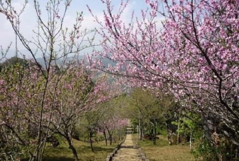 Sapa: "Dragon Jaw Mountain" Panorama Experience - The Sum Up