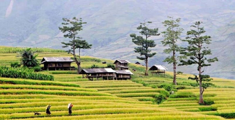 Sapa: Eco Adventure Terrace Fields and Local Villages Trek - Who is this tour best suited for?