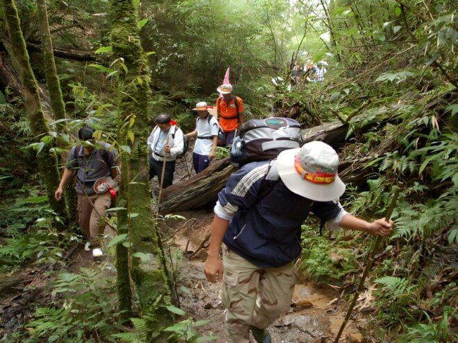 Sapa: Epic 1-Day Trek to Fansipan Mountain Peak - Inclusions and Exclusions