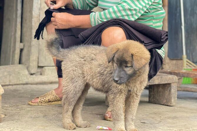 Sapa Explorer Trek: Stunning Views & Minority Villages - FAQ