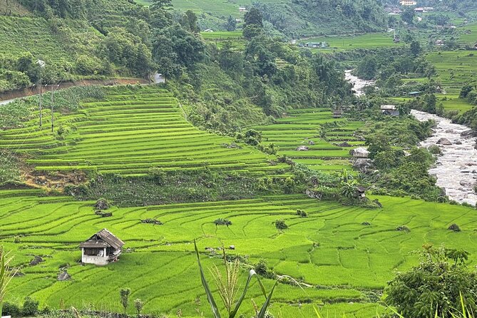 Sapa Full Day Motorbike Tour - Questions and Support