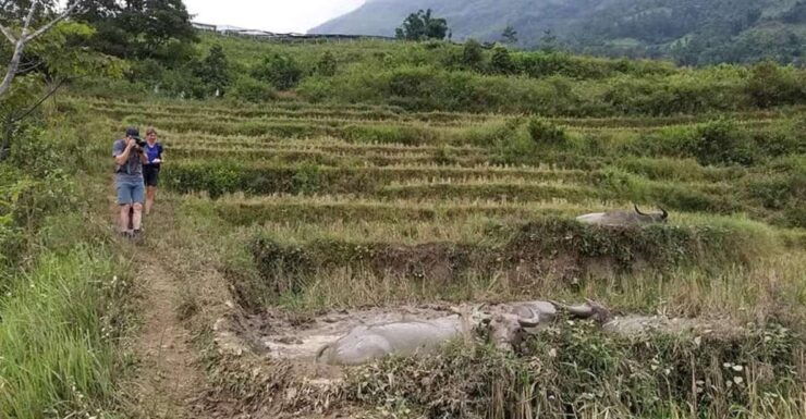 Sapa: Full-Day Private Muong Hoa Valley Tour - Tour Details