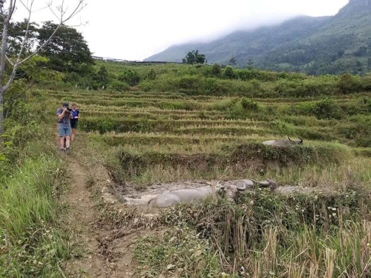 Sapa: Full-Day Private Muong Hoa Valley Tour - Experience Highlights