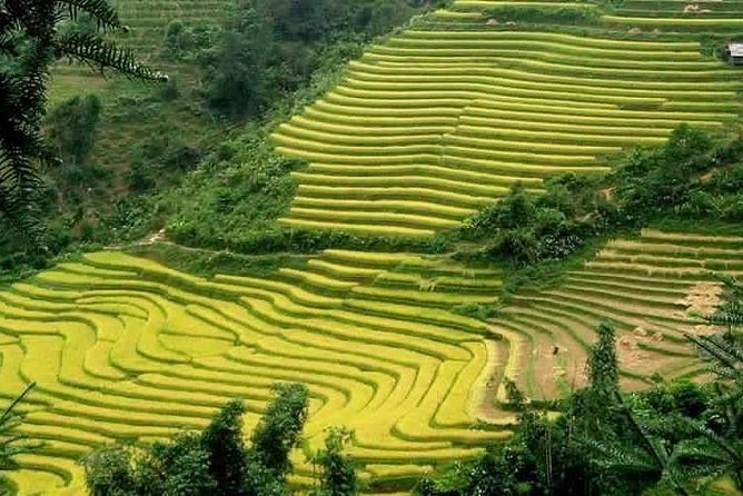 Sapa: Full-Day Private Muong Hoa Valley Tour - Cancellation Policy