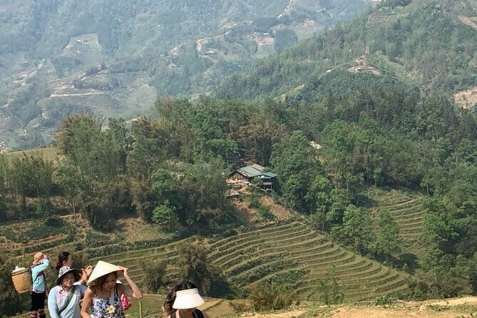 Sapa Full Day Trekking Through Rice Fields Terrace - FAQs