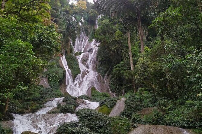 Sapa Full Day Trip: Waterfalls, Cave and Scenic Tea Farm by car - FAQ