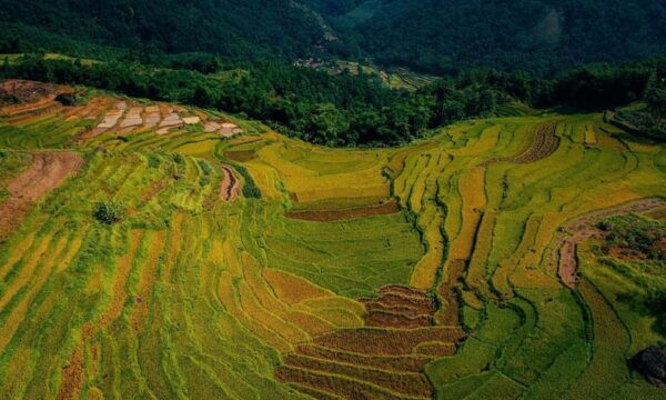 Sapa: Guided Tour With Local Culture and Rice Terraces - Inclusions for Your Tour