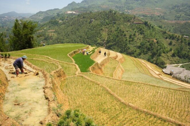 Sapa Half Day Hard Trekking Villages Trip With Lunch & Guide - Activity Highlights