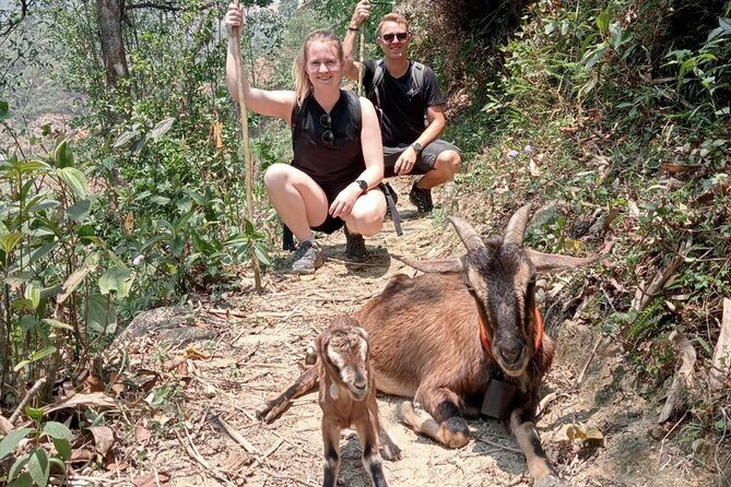 Sapa Half Day Local Farming Experience - FAQ