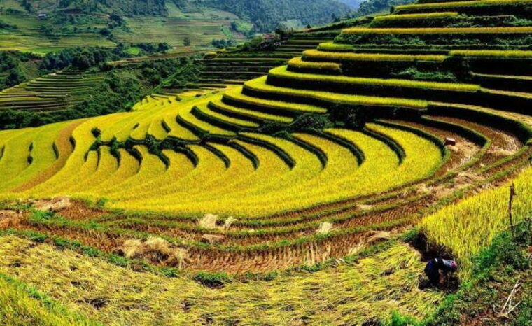 Sapa: Half Day Treck To Visit Y Linh Ho , Lao Chai, Ta Van - Inclusion and Exclusions