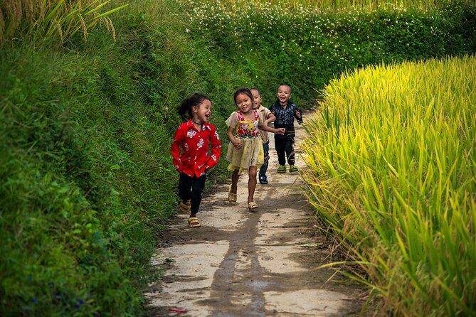 Sapa Half-Day Trekking: Stunning Rice Terraces & Local Village - An In-Depth Look at the Sapa Half-Day Trekking Tour