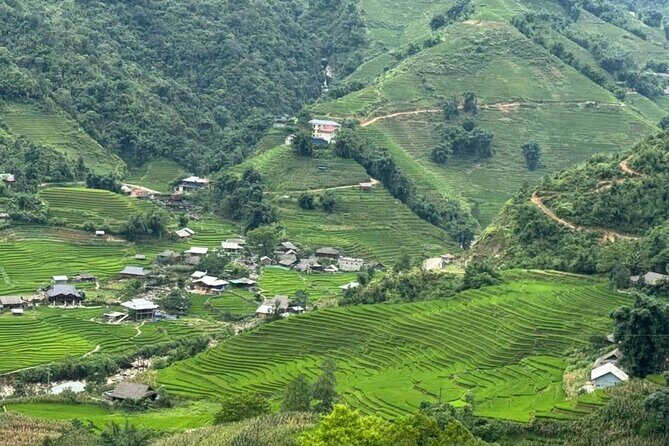 Sapa Half Day Trekking Tour - FAQ