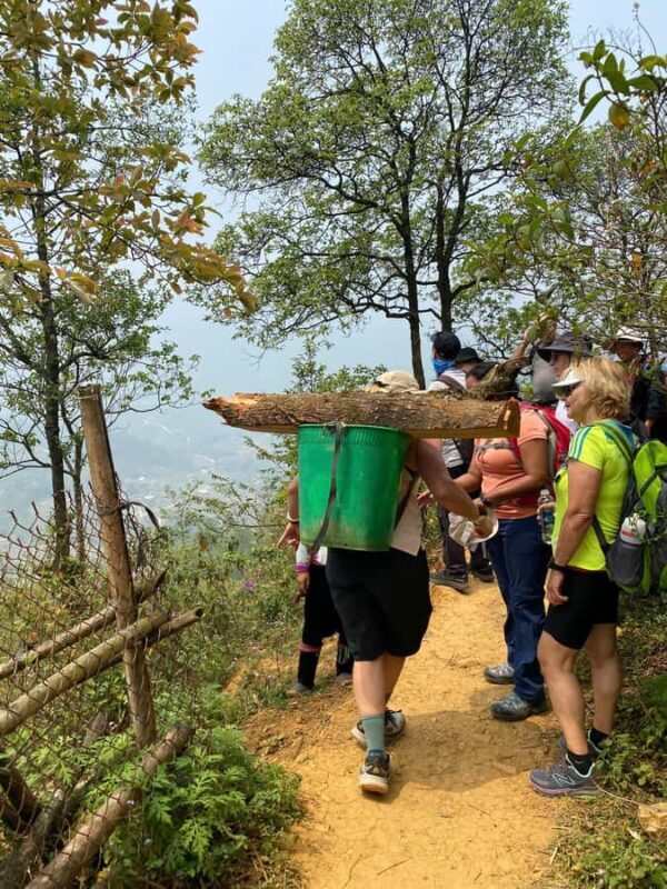 Sapa: Ham Rong Mountain Jogging Tour with Guide - A Detailed Look at the Tour Experience