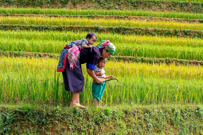 Sapa Hard Trekking Tour 3 Days 2 Nights by Bus - Homestay - Meeting and Pickup Information