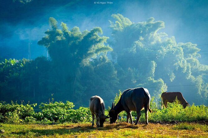 Sapa Highlights Getaway: 2-Day Journey with Luxury 5-Star Stay - Transportation & Logistics