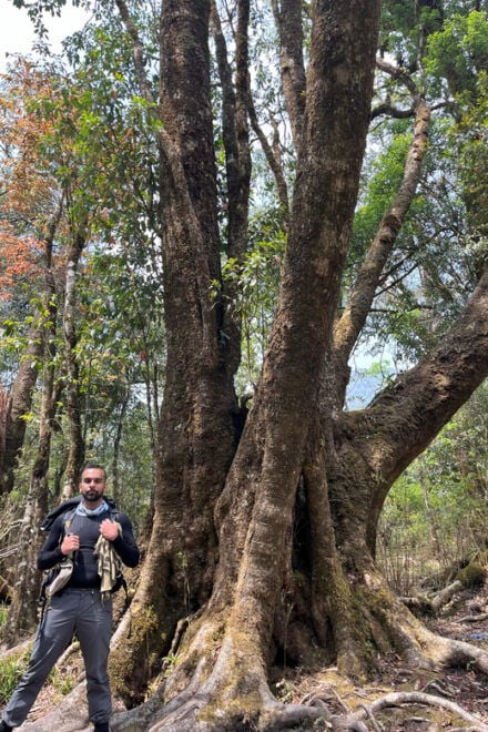 Sapa Hiking Tour : Fansipan 1day Hike Fansipan 2days - Guided Tours