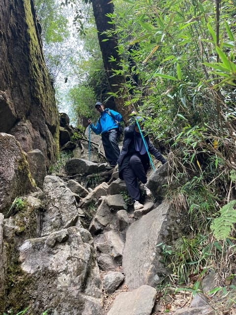 Sapa Hiking Tour : Fansipan 1day Hike Fansipan 2days - Local Insights