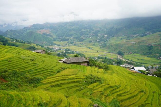 Sapa Hoang Lien National Park & Tribal Village Trek Private - Inclusions for Participants