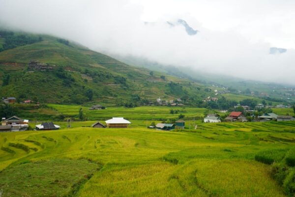 Sapa Hoang Lien National Park & Tribal Village Trek Private - Cultural Insights