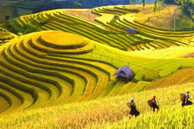 Sapa Most Beautiful Day Tour (Y Linh Ho - Lao Chai - Ta Van) - Tour Details and Inclusions