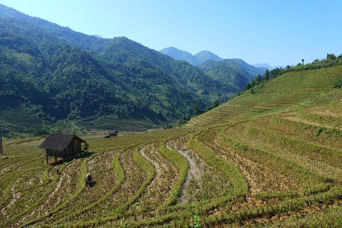 Sapa Motorbike Tour - 1 Day - From Heaven Gate To Muong Hoa Valley - Cancellation Policy