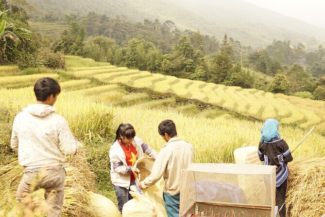 Sapa Motorbike Tour to Dragon Waterfall and Hidden Village - FAQ