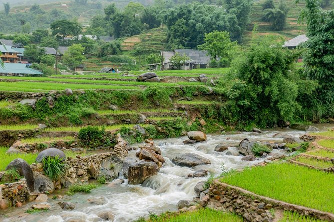 Sapa, Muong Hoa Valley - 1 Day Hiking & Cultural Experience - What To Expect