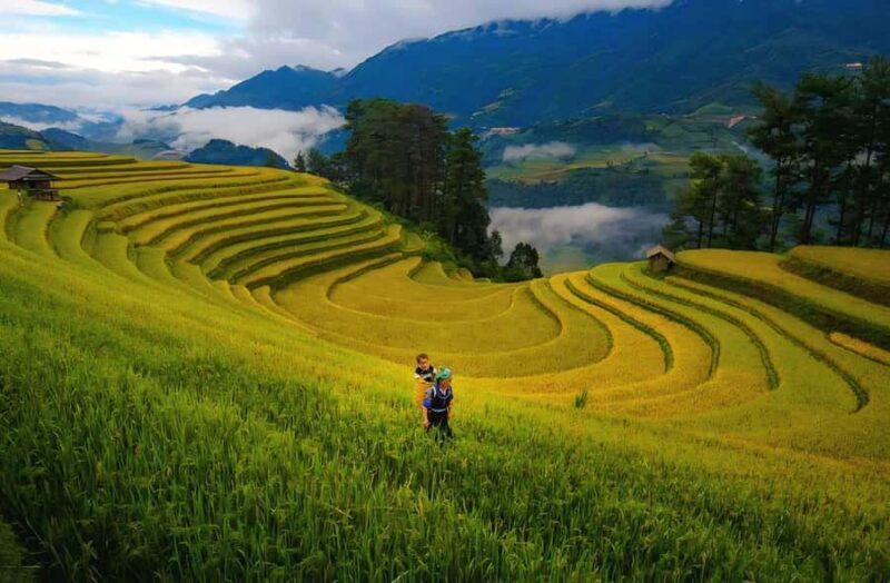 Sapa : Muong Hoa Valley 1 Day Trek  Stunning Rice Terraces - The Highlight: Lunch at a Traditional Hmong Home