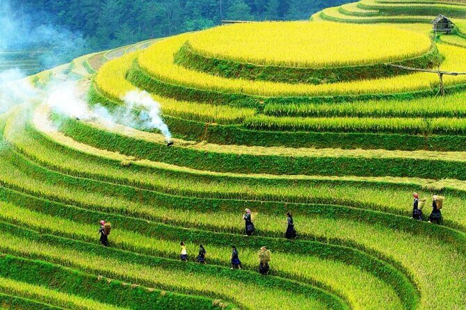 Sapa Muong Hoa Valley & Ta Van Eco Village Scenic Tour (No Trek) - Exploring the Sapa Muong Hoa Valley & Ta Van Eco Village Scenic Tour (No Trek)