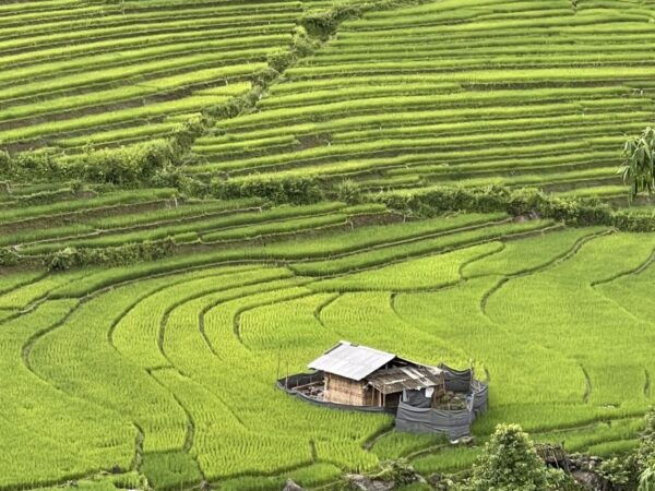 Sapa One Day Motorbike Tour - Common Questions