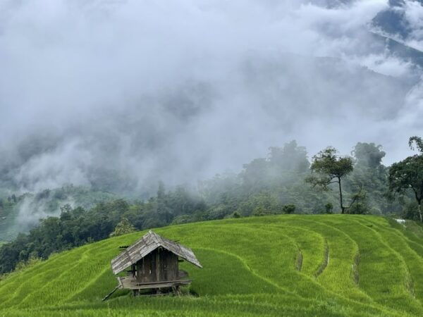 Sapa One Day Motorbike Tour - Common Questions