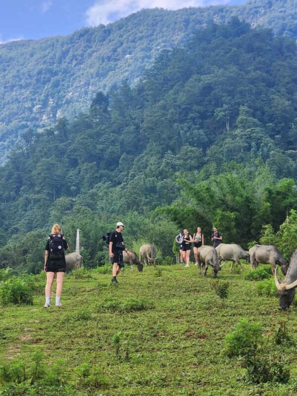 Sapa: One Day Trekking With Local Guide & Lunch - Discovering Sapa’s Truly Local Spirit