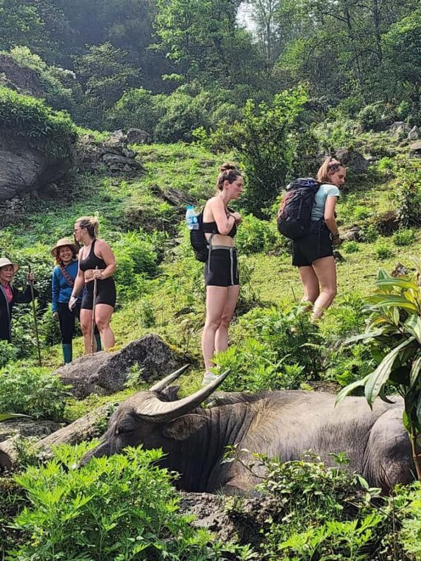 Sapa: One Day Trekking With Local Guide & Lunch - What to Expect on the Ground