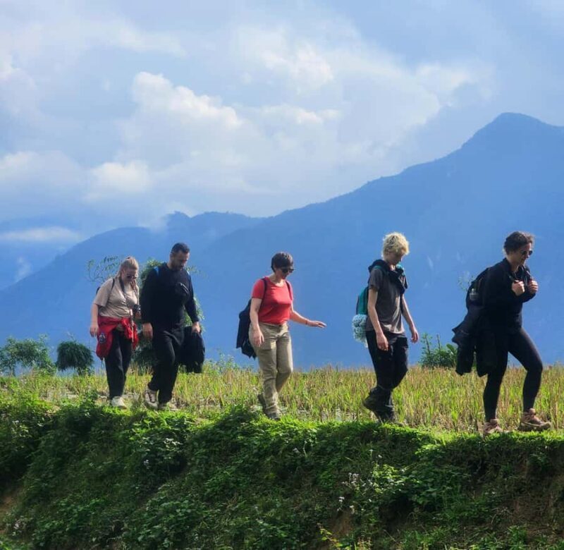 Sapa: One Day Trekking With Local Guide & Lunch - Who Will Love This Tour?