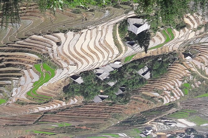 Sapa Private Hike With Excellent Views - Tour Highlights