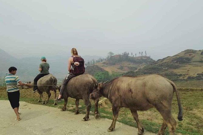 Sapa Private: One Day of Funny Buffalo Ride & Trekking Tour - Itinerary Overview