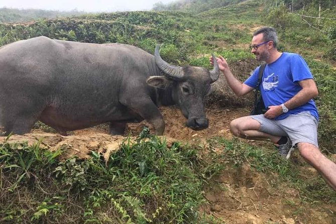 Sapa Private: One Day of Funny Buffalo Ride & Trekking Tour - Buffalo Riding Experience