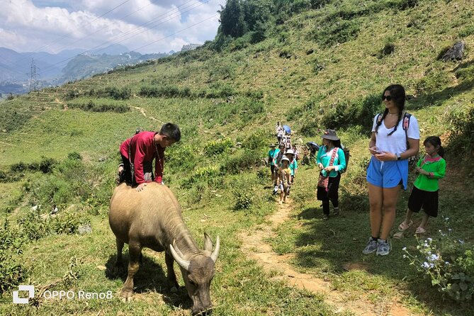 Sapa Private: One Day of Funny Buffalo Ride & Trekking Tour - Trekking Adventure