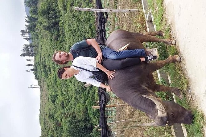 Sapa Private: One Day of Funny Buffalo Ride & Trekking Tour - The Sum Up