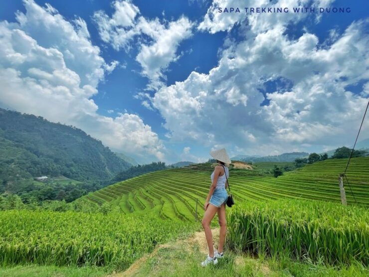 Sapa: Private The Most Beautiful Terraced Fields Trekking - Duration and Availability