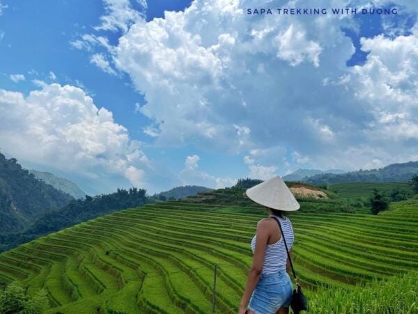 Sapa: Private The Most Beautiful Terraced Fields Trekking - Common Questions