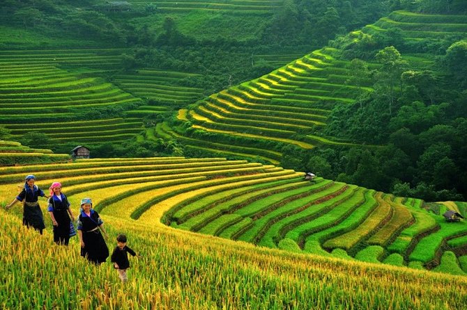 Sapa Private Tour 2 Days 1 Night - Pricing and Inclusions